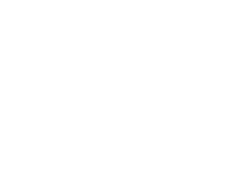 Arsenal 201 Arsenal 201 Logo